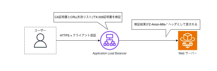 verify モード